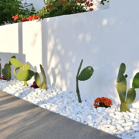 21 Luxury Apartments Naousa  Exterior photo